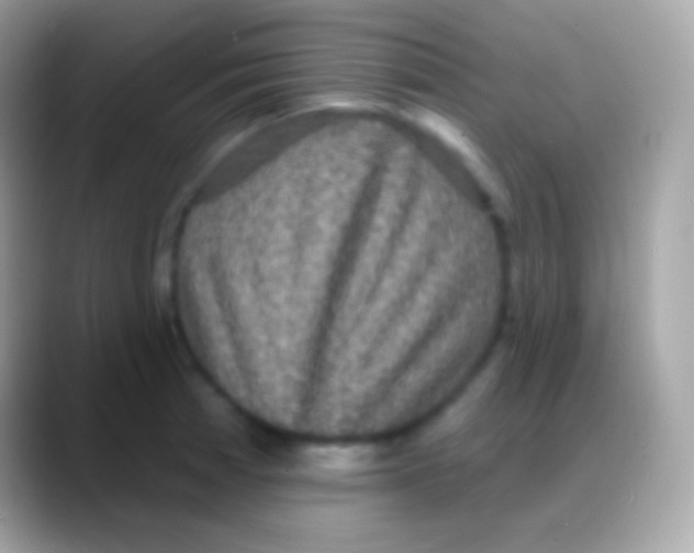 X0000088141185200706041331