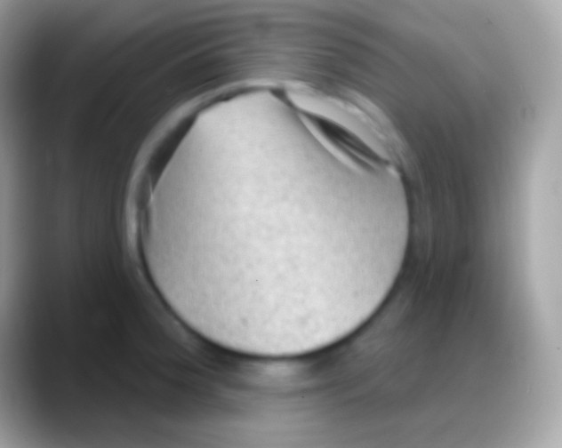 X0000088141188200706041331