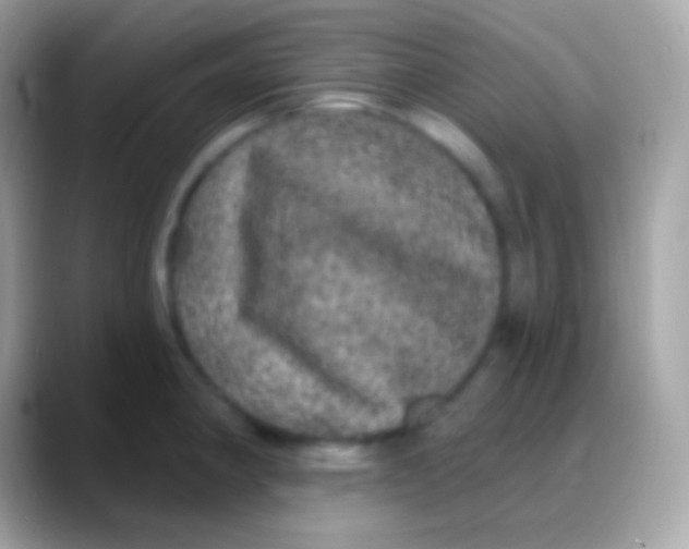 X0000088141190200706041331