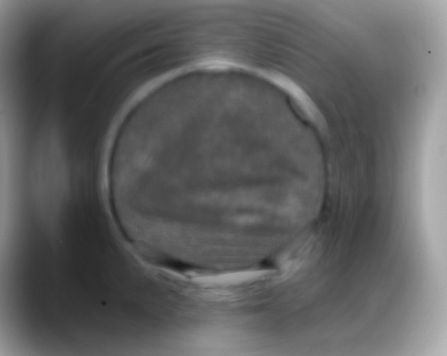 X0000088141191200706041331