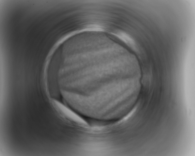 X0000088141192200706041331