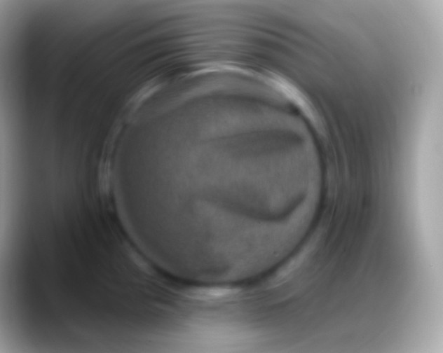 X0000088141193200706041331