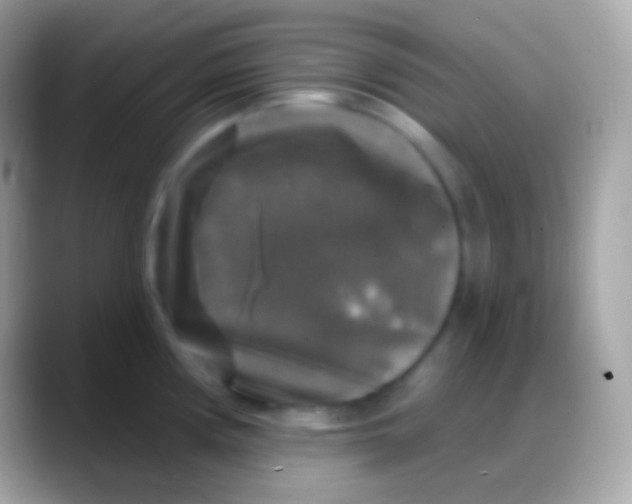 X0000088141194200706041331