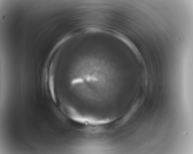 X0000088141198200706041331