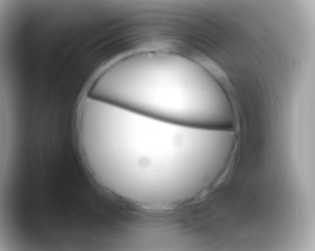 X0000088141200200706041331