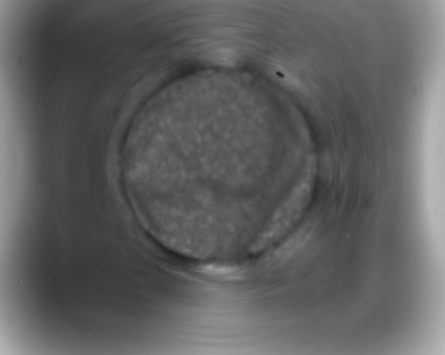 X0000088141201200706041331