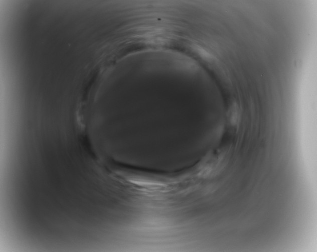 X0000088141202200706041331