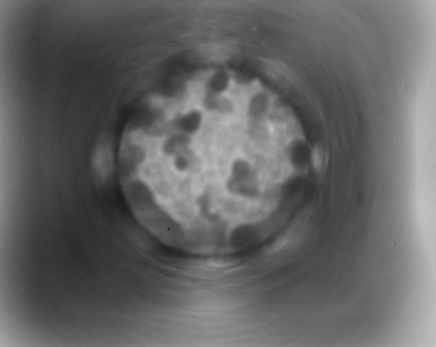 X0000088141203200706041331