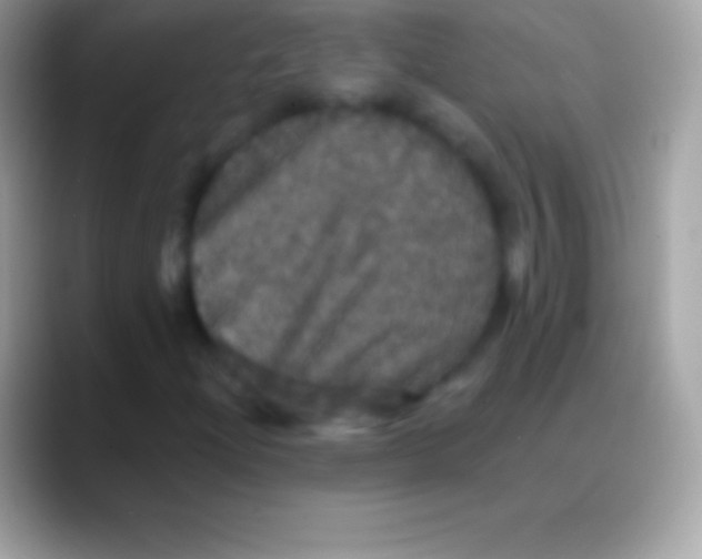 X0000088141204200706041331