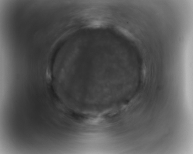 X0000088141206200706041331