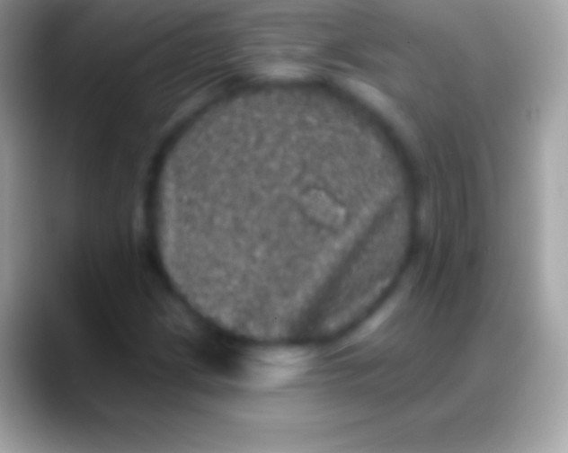 X0000088141209200706041331