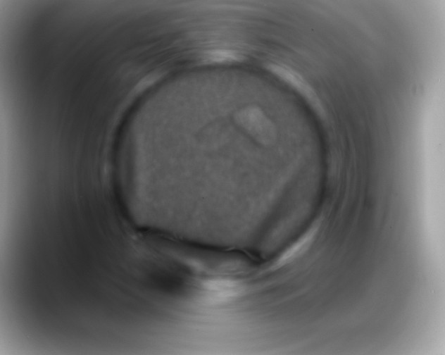 X0000088141210200706041331