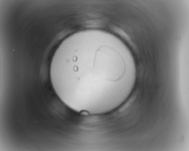 X0000088141211200706041331