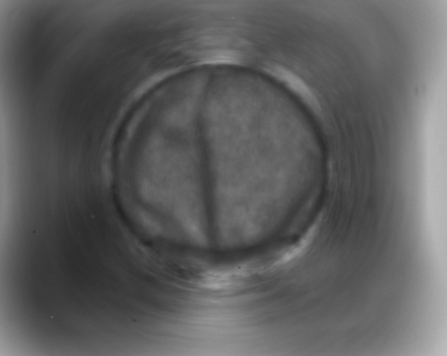 X0000088141212200706041331