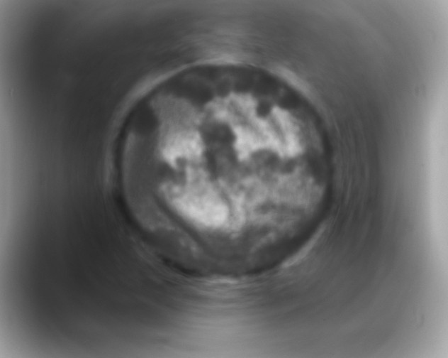 X0000088141215200706041331