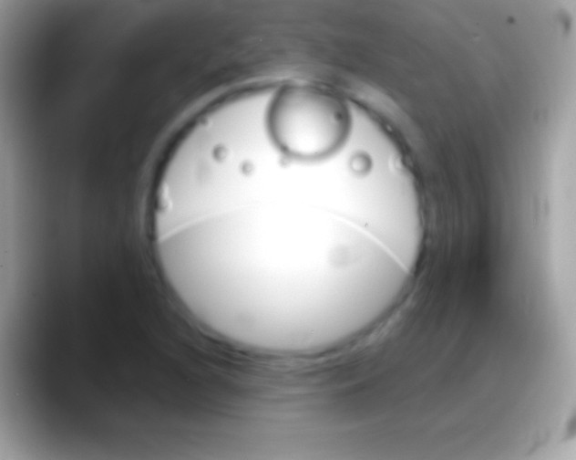 X0000088141216200706041331