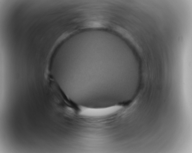 X0000088141218200706041331