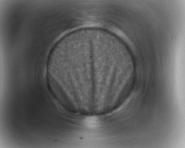 X0000088141220200706041331