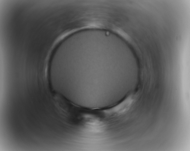 X0000088141222200706041331