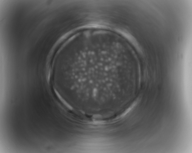 X0000088141224200706041331