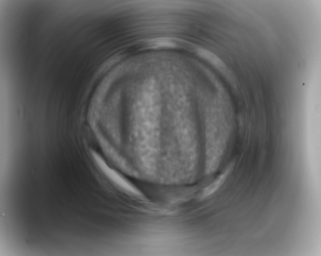 X0000088141225200706041331