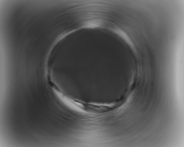 X0000088141226200706041331