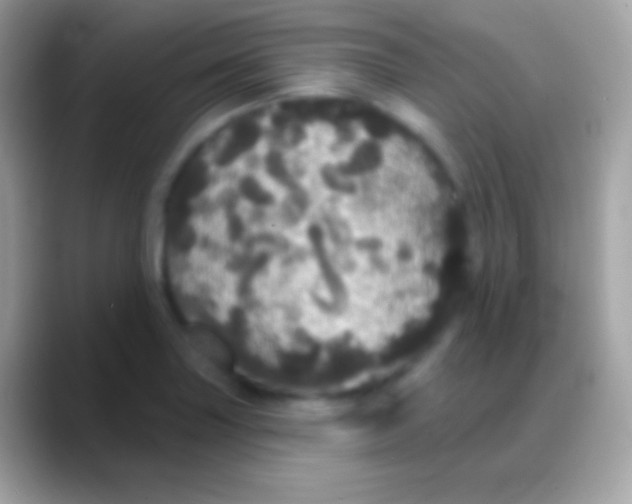 X0000088141227200706041331