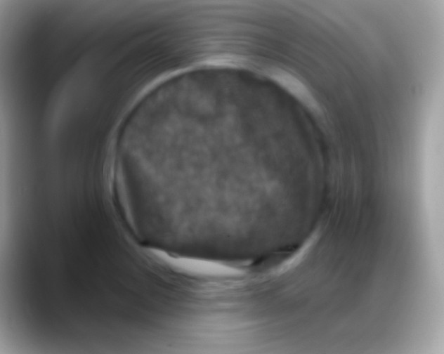 X0000088141228200706041331