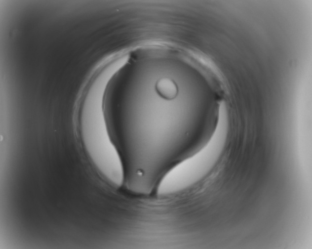 X0000088141230200706041331