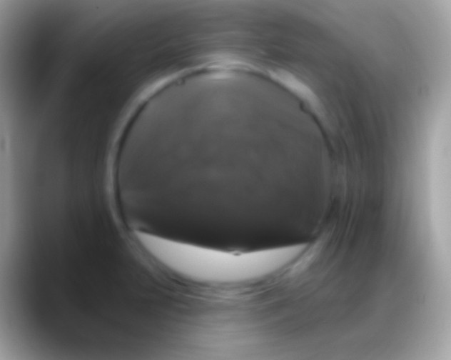 X0000088141231200706041331