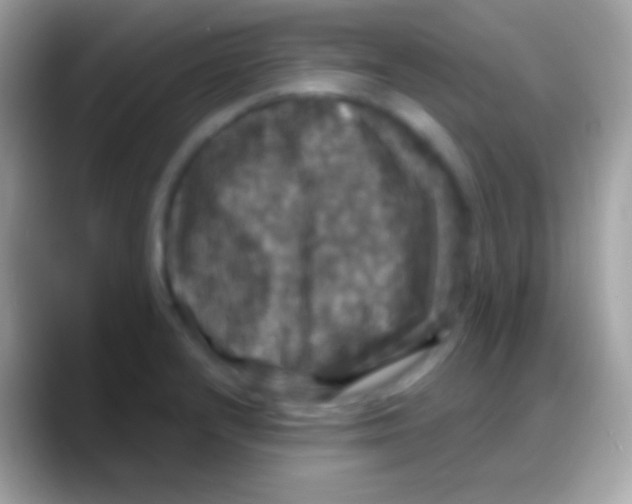 X0000088141232200706041331