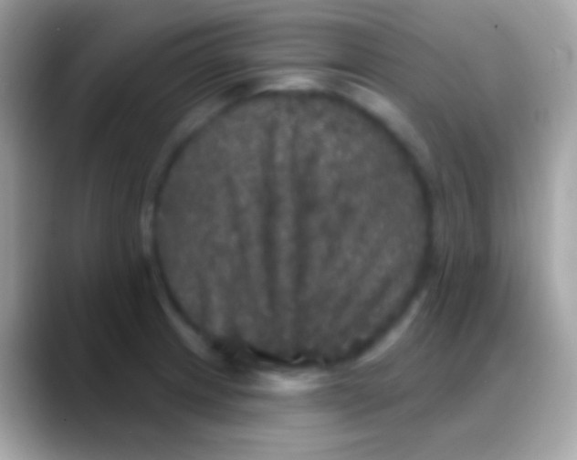 X0000088141233200706041331