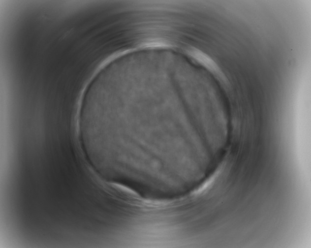 X0000088141236200706041331