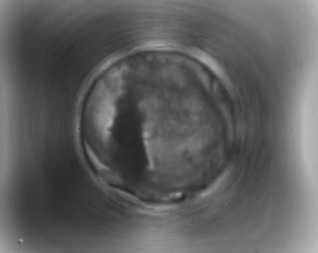 X0000088141237200706041331