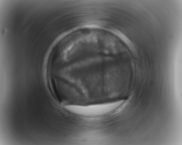 X0000088141240200706041331