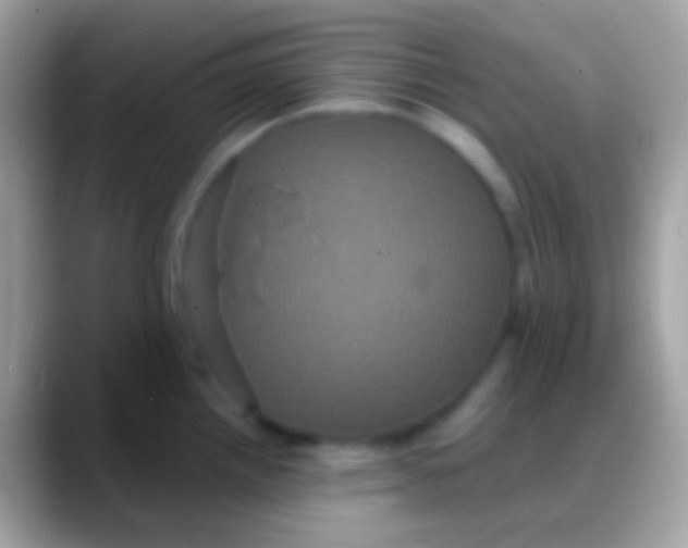 X0000088141242200706041331