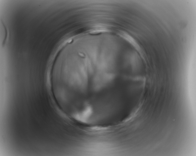 X0000088141243200706041331