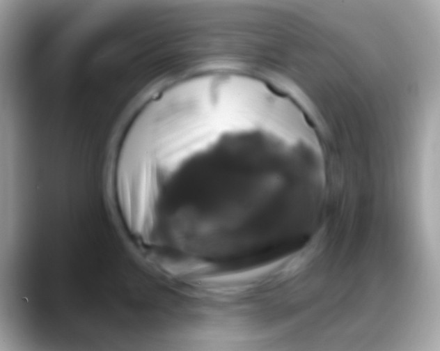 X0000088141245200706041331