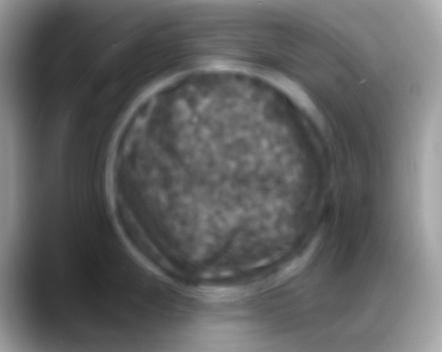 X0000088141247200706041331