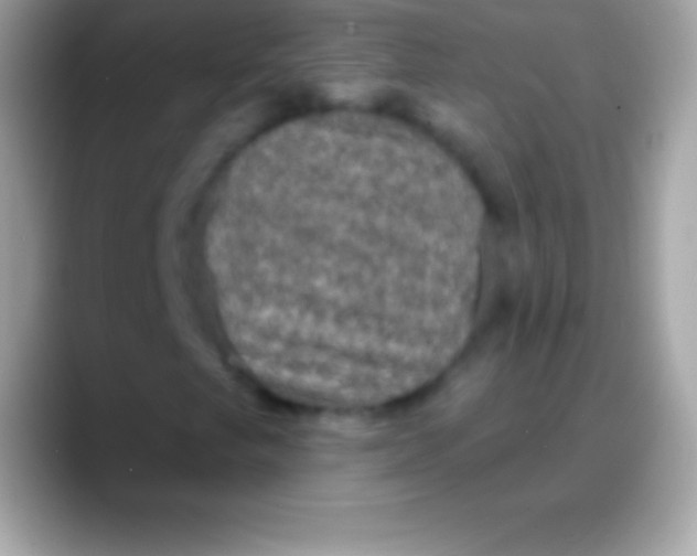 X0000088141249200706041331