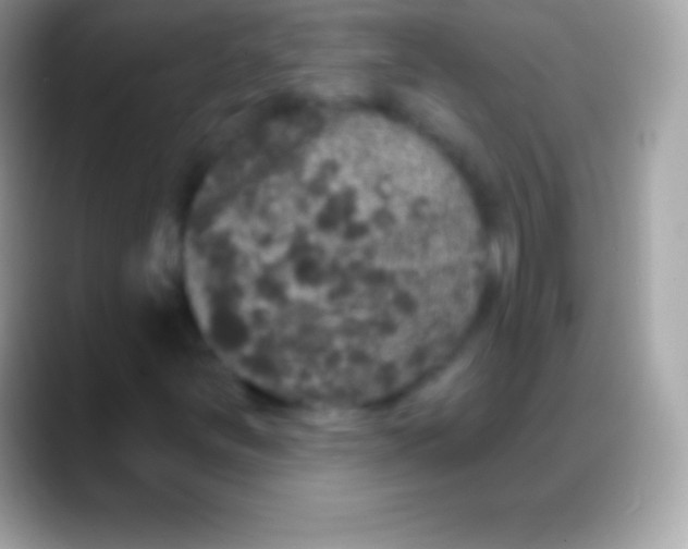 X0000088141251200706041331