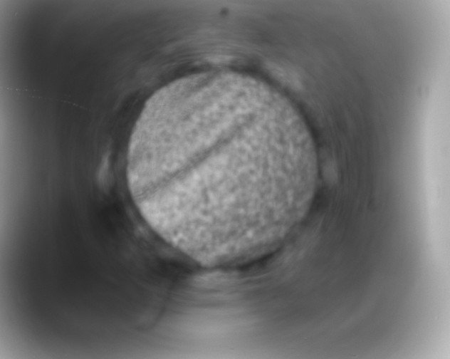 X0000088141253200706041331