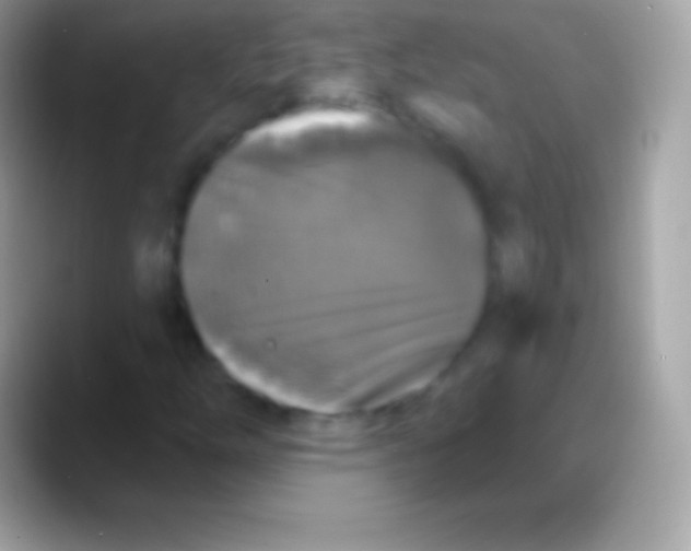 X0000088141254200706041331