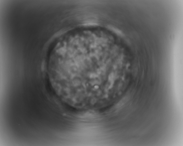 X0000088141255200706041331