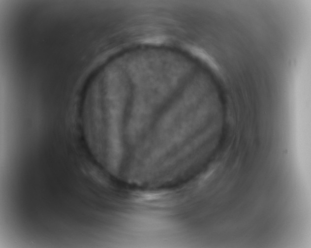 X0000088141256200706041331