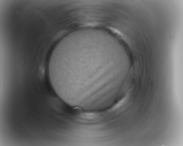 X0000088141257200706041331