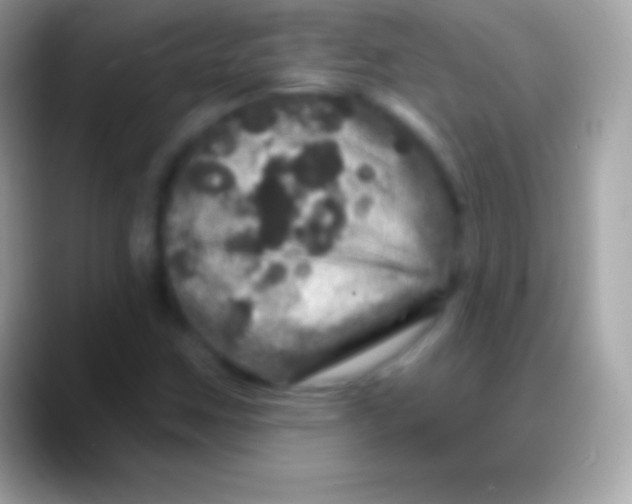 X0000088141259200706041331