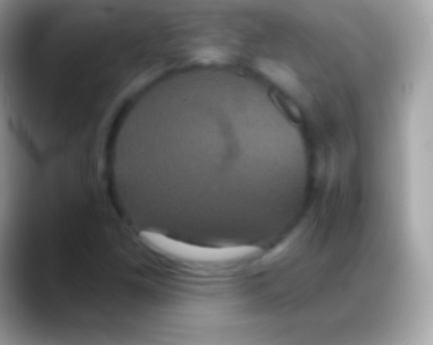 X0000088141261200706041331