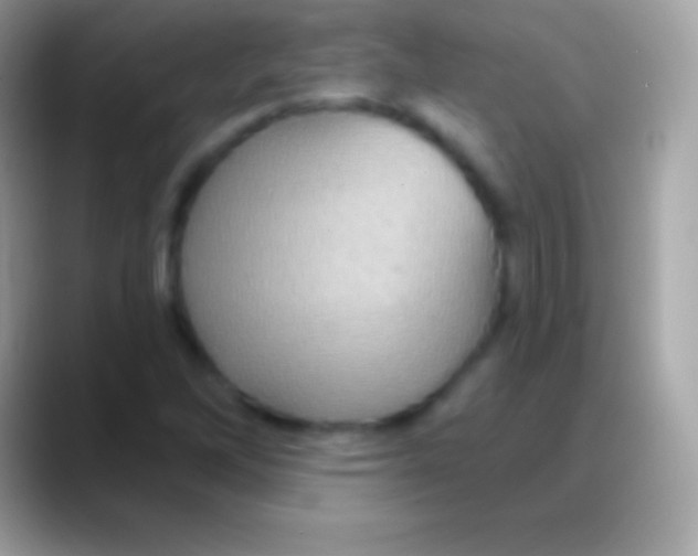 X0000088141262200706041331