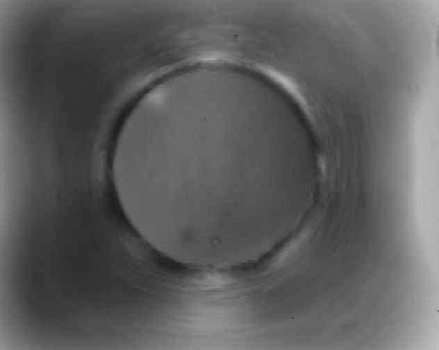 X0000088141263200706041331